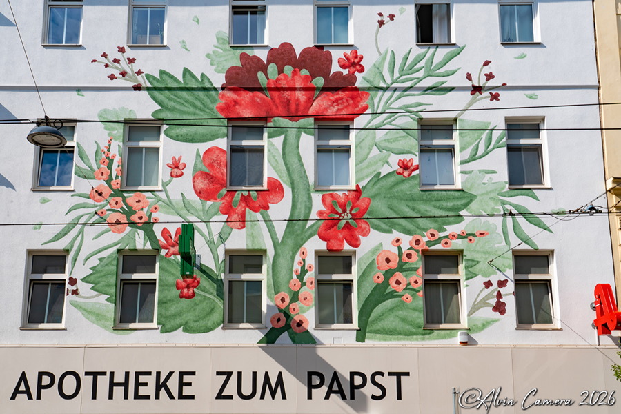 Apotheke zum Papst