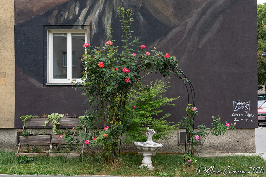 Rosenstrauch