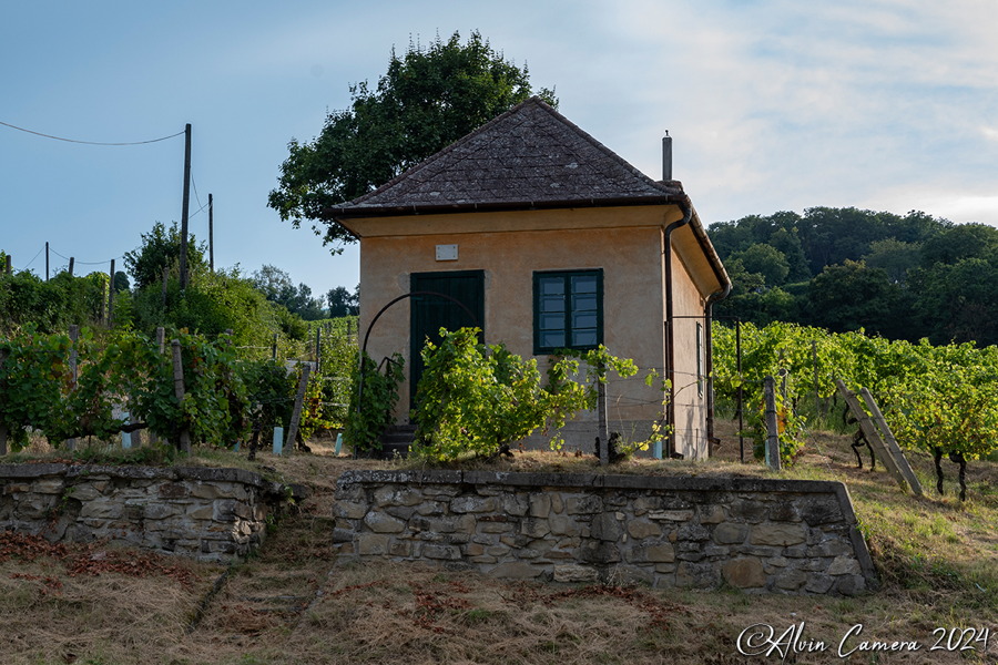 Kahlenbergerdorf