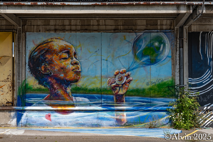Nordwestbahnhof Graffiti