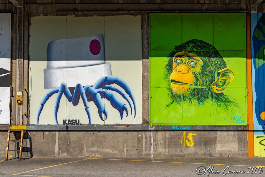 Nordwestbahnhof Graffiti