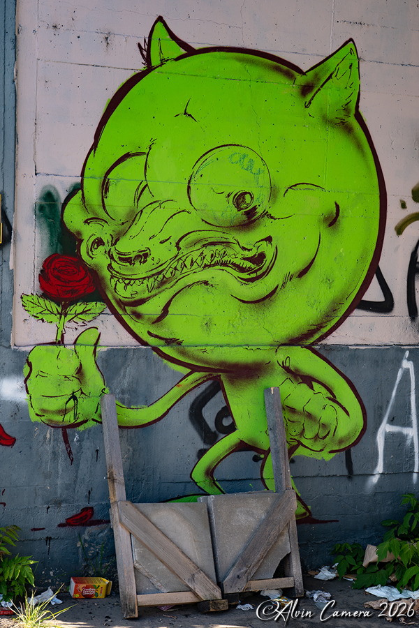 Nordwestbahnhof Graffiti