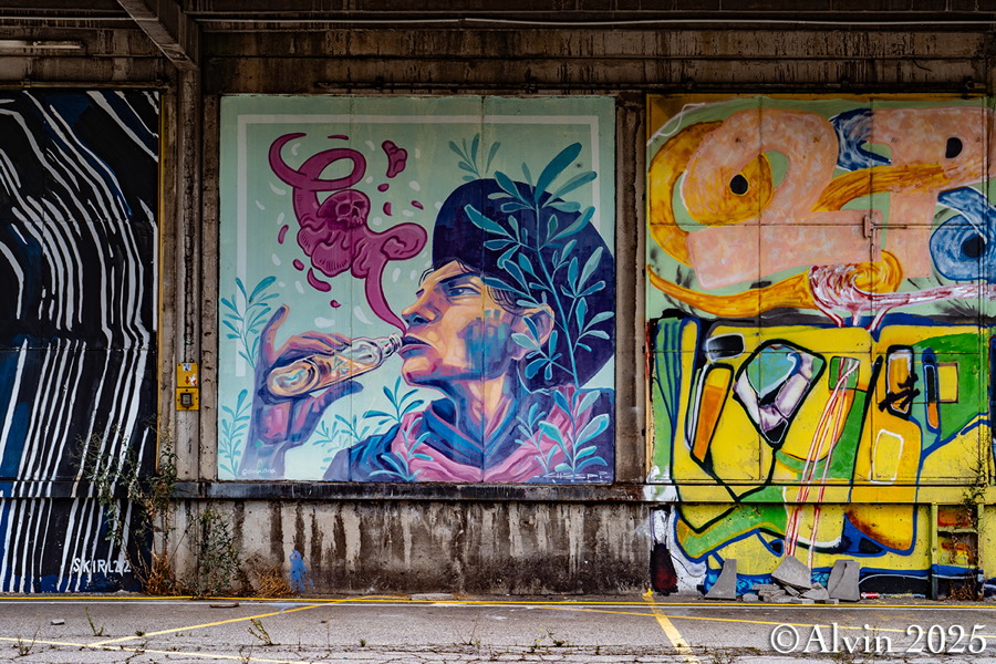 Nordwestbahnhof Graffiti
