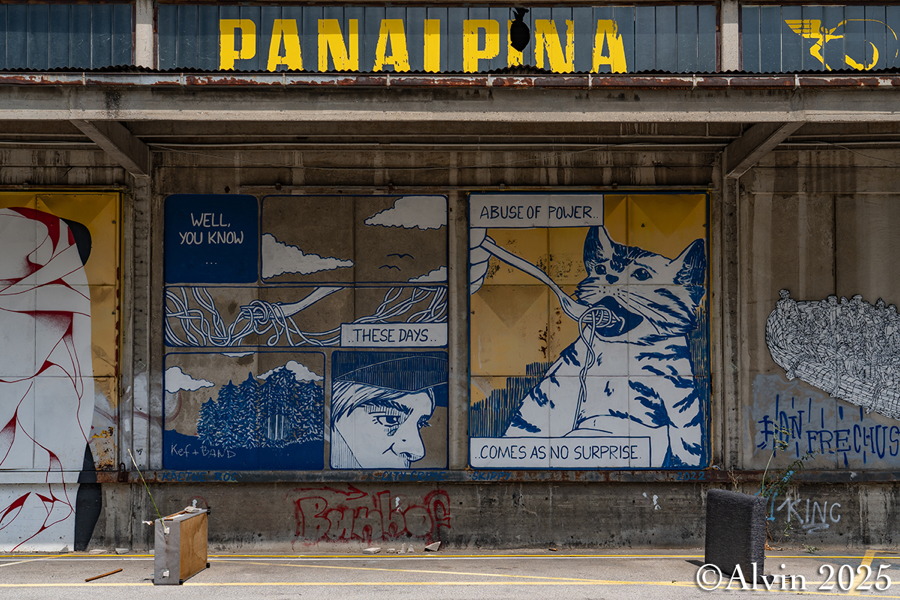 Nordwestbahnhof Graffiti