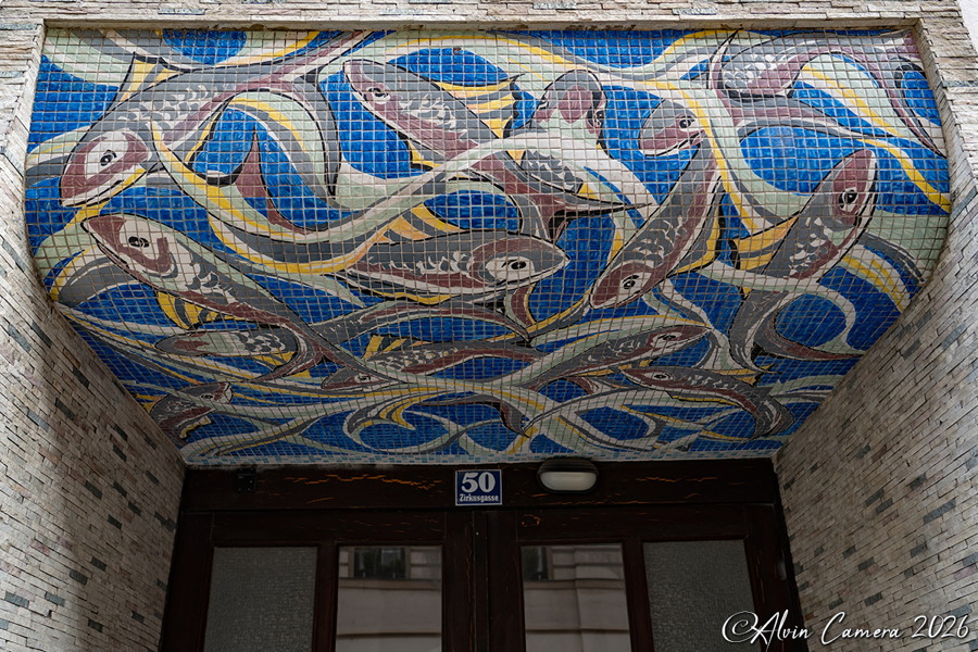 Zirkusgasse 50