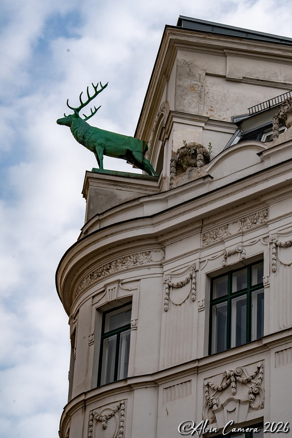 Hirsch