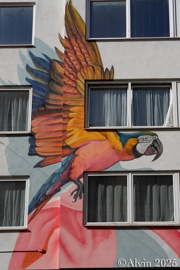 Papageienhaus