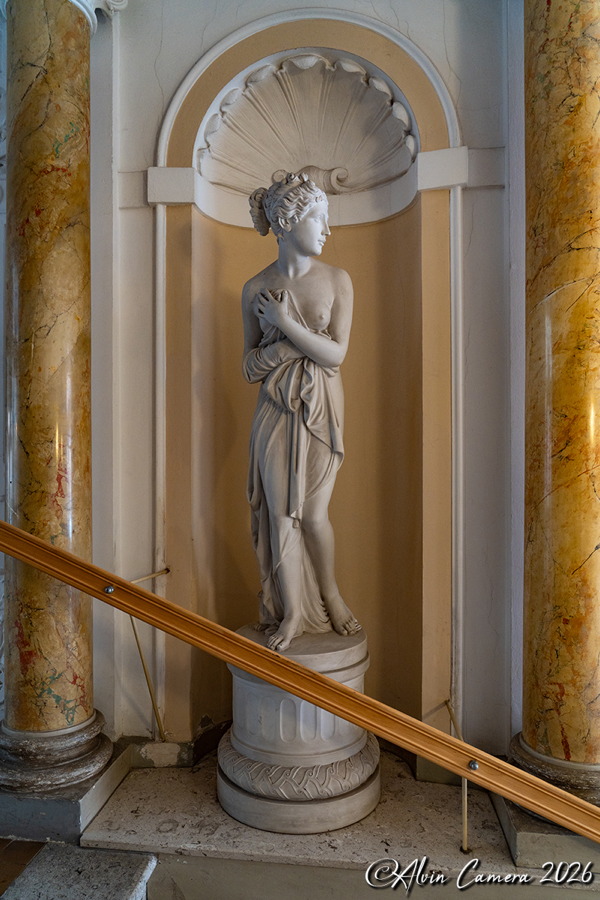 Venus Pudica