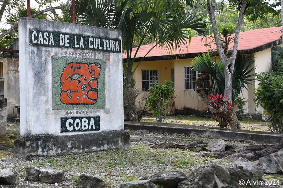 Cobá