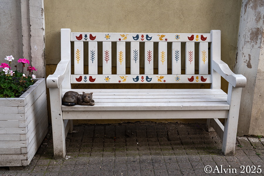 Katzenbank