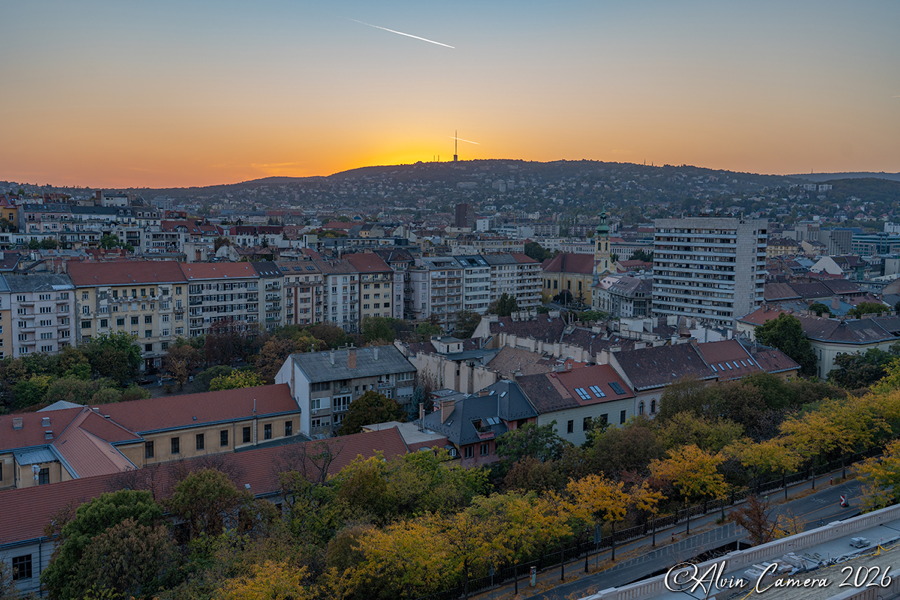 Buda